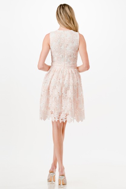 Two Tone Crochet Mini Dress