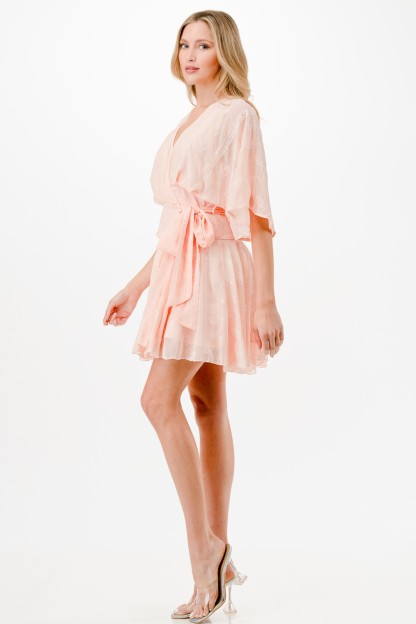 Embroidery Detail Wrap Mini Dress 