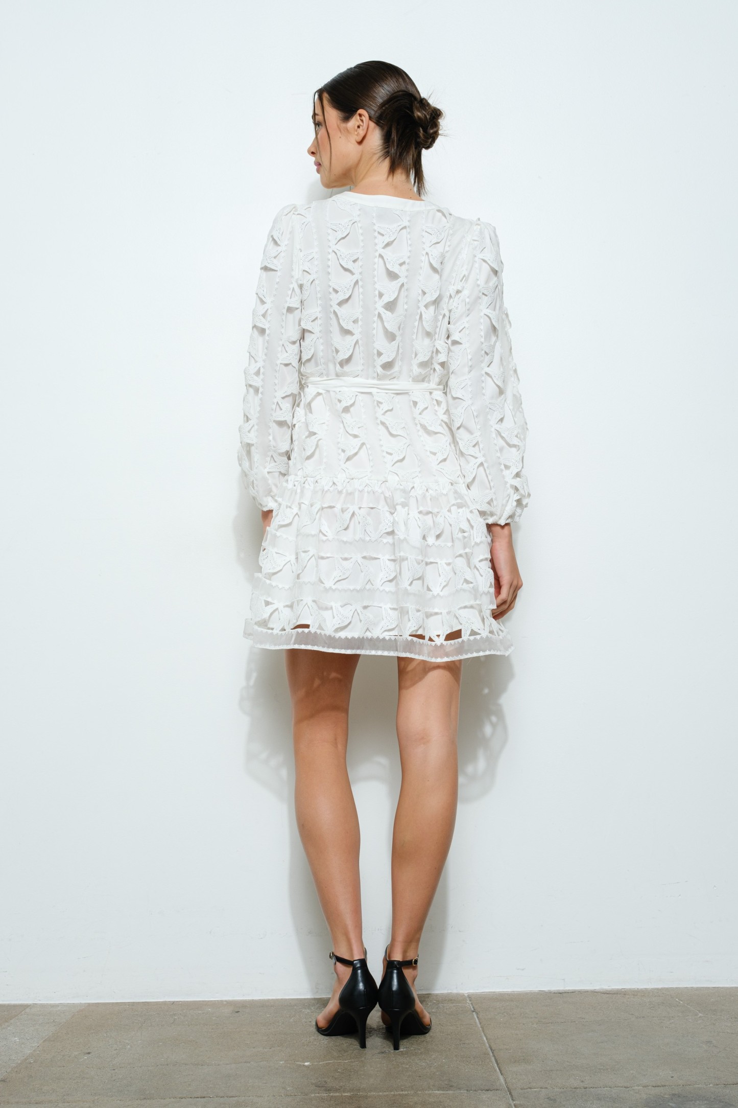 Embroidered Lace Puff Sleeve Mini Dress #23681974