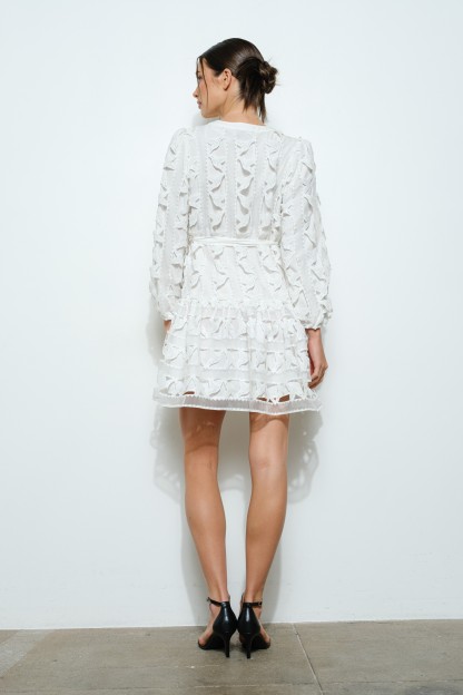 Embroidered Lace Puff Sleeve Mini Dress #23681974