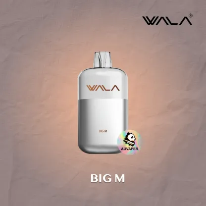 BIG M(Big Milk) WALA POP 10000