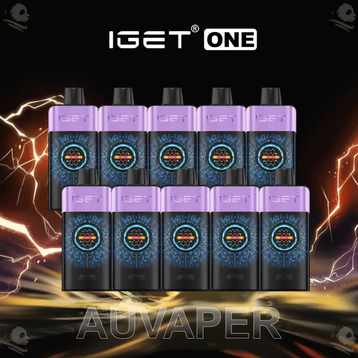 IGET ONE 12000 Puffs Bulk Pack