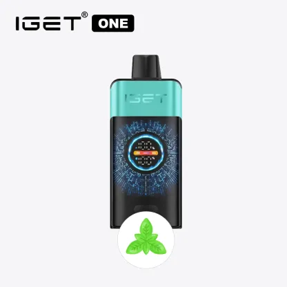 Mountain Spring Mint Ice IGET ONE