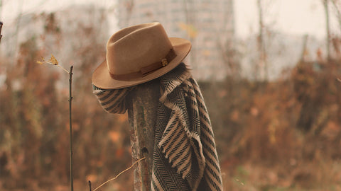 Cowboy Hat vs Fedora: Differences Explained
