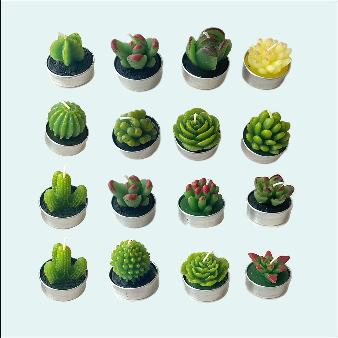 Mini Succulent Cactus Candles - 6 Set Gift Box-Cozyolo Home Decor & Candle