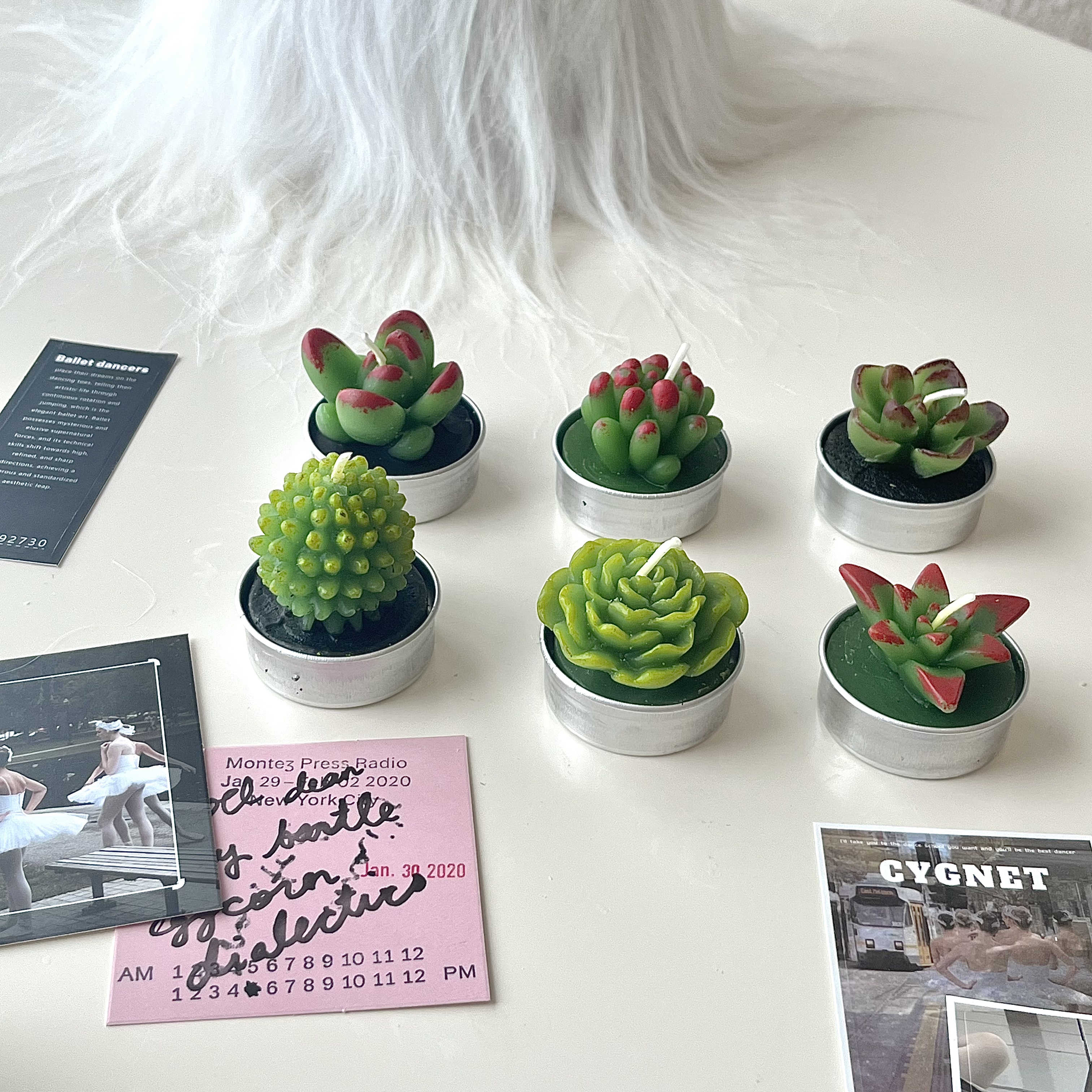 Mini Succulent Cactus Candles - 6 Set Gift Box-Cozyolo Home Decor & Candle