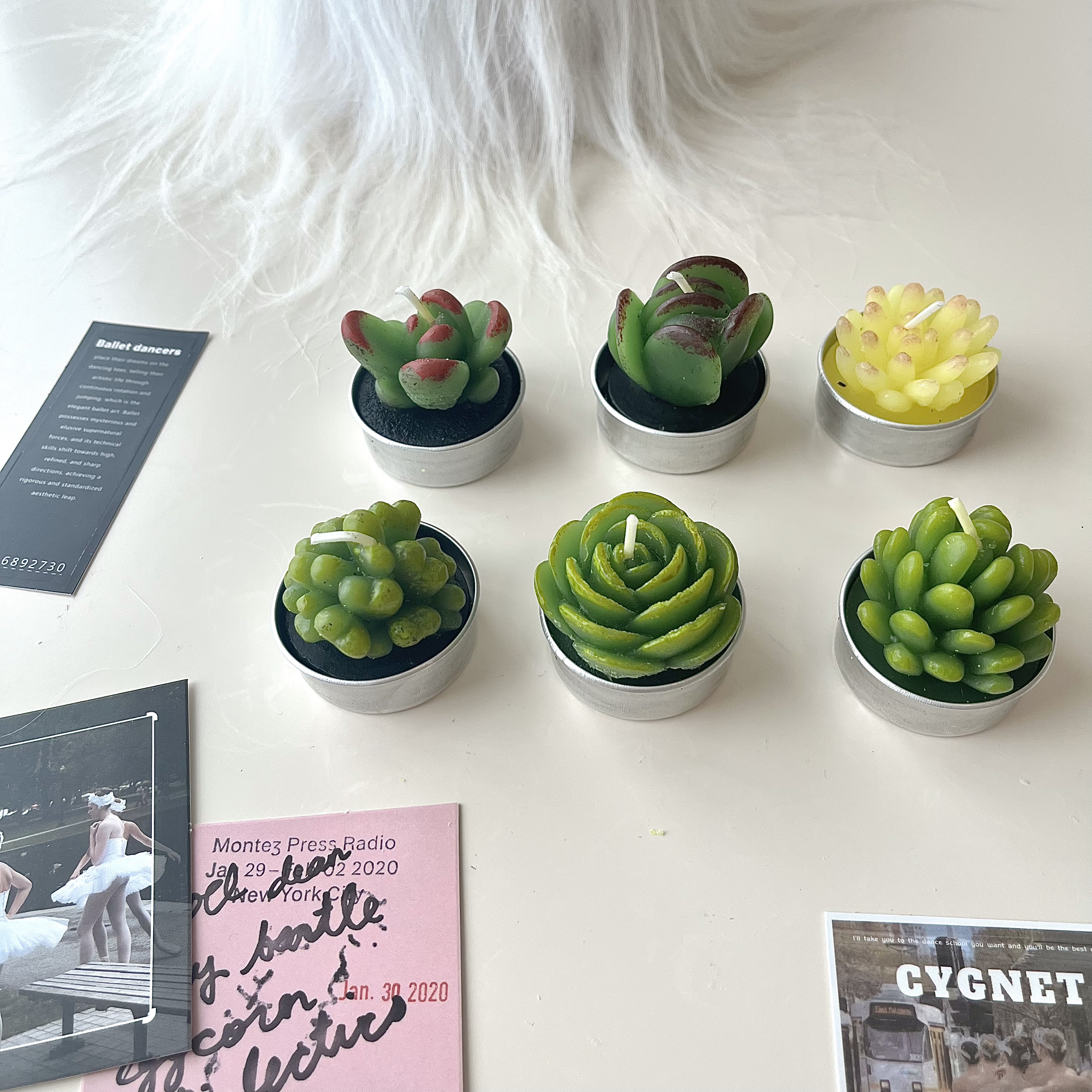 Mini Succulent Cactus Candles - 6 Set Gift Box-Cozyolo Home Decor & Candle