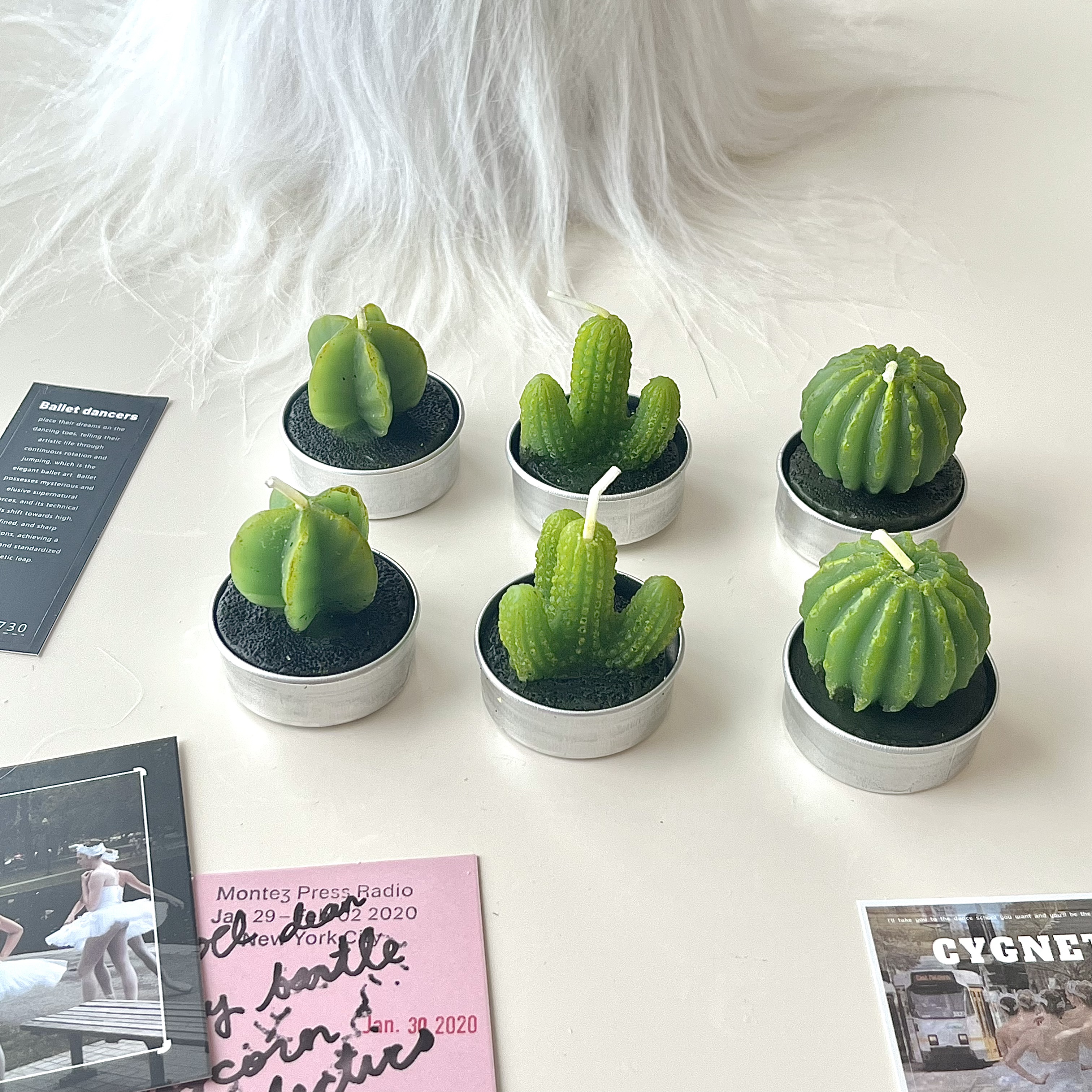 Mini Succulent Cactus Candles - 6 Set Gift Box-Cozyolo Home Decor & Candle