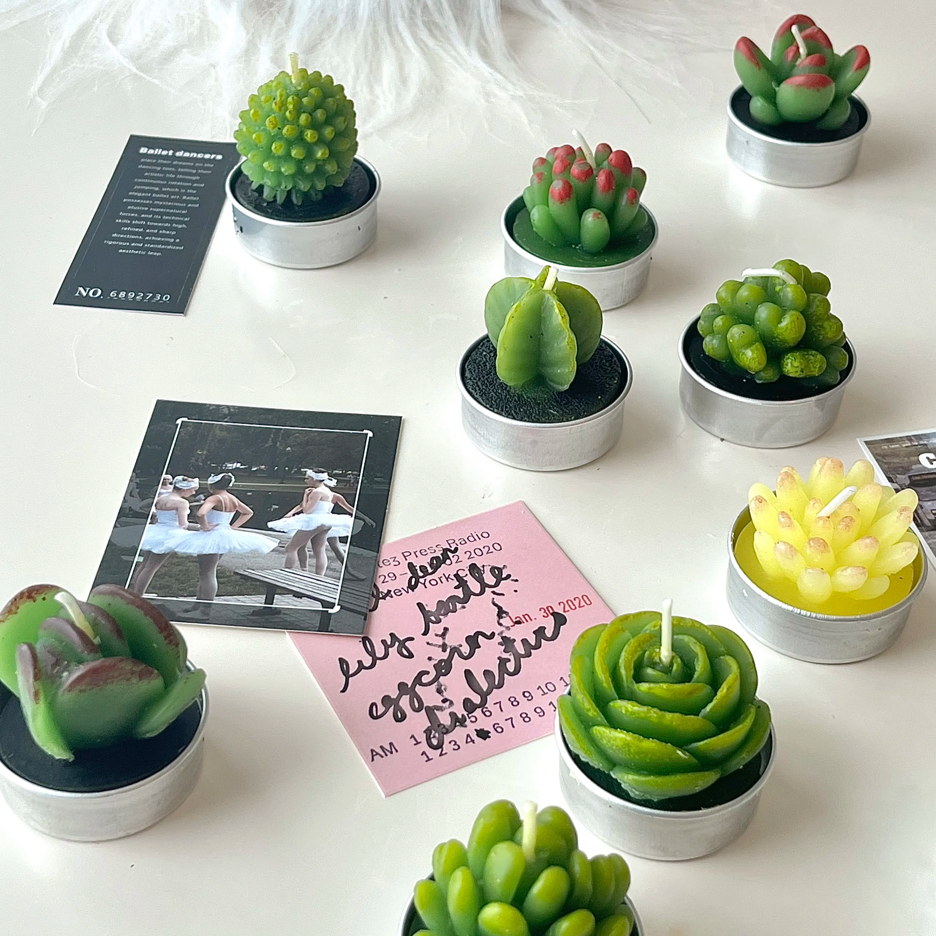 Mini Succulent Cactus Candles - 6 Set Gift Box-Cozyolo Home Decor & Candle
