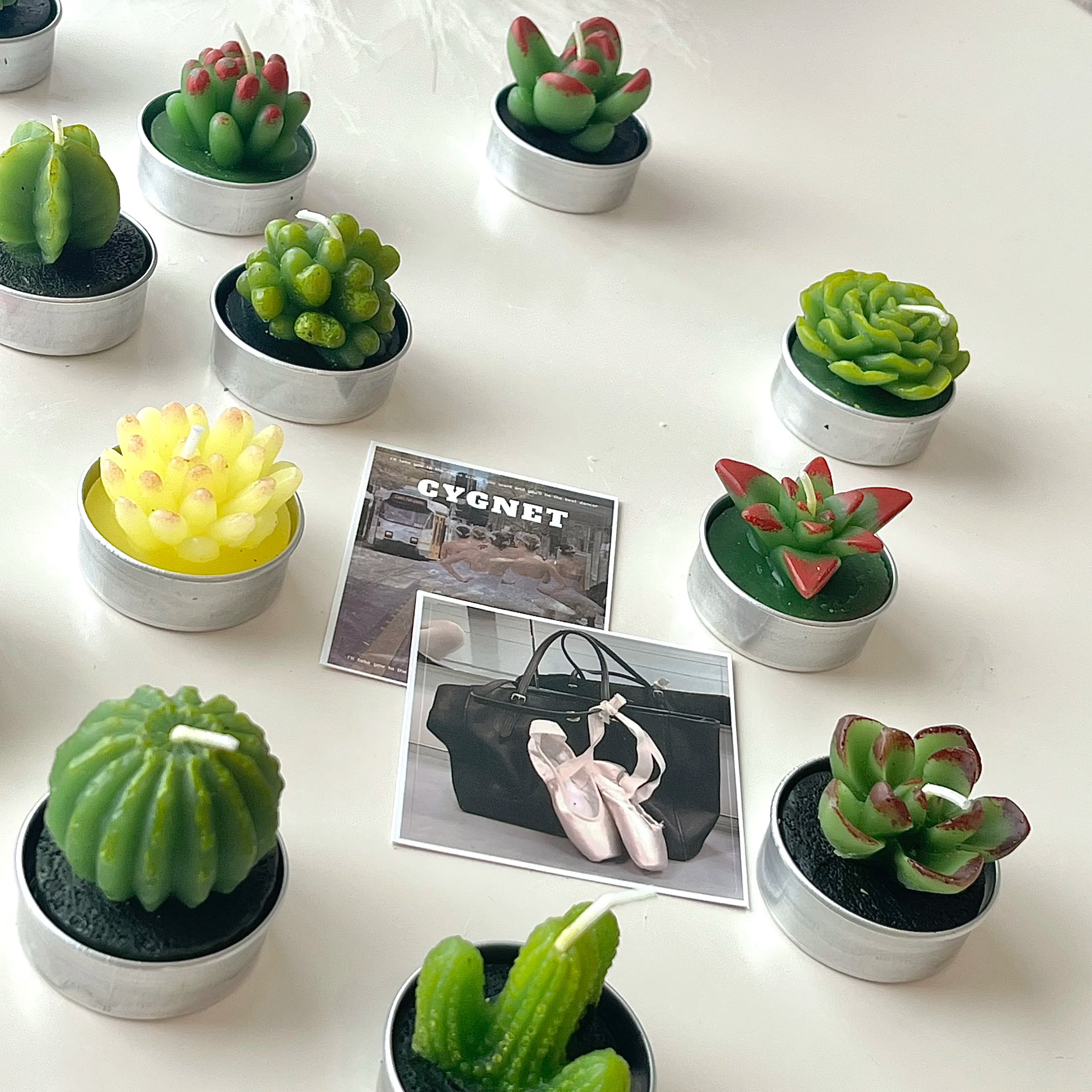 Mini Succulent Cactus Candles - 6 Set Gift Box-Cozyolo Home Decor & Candle
