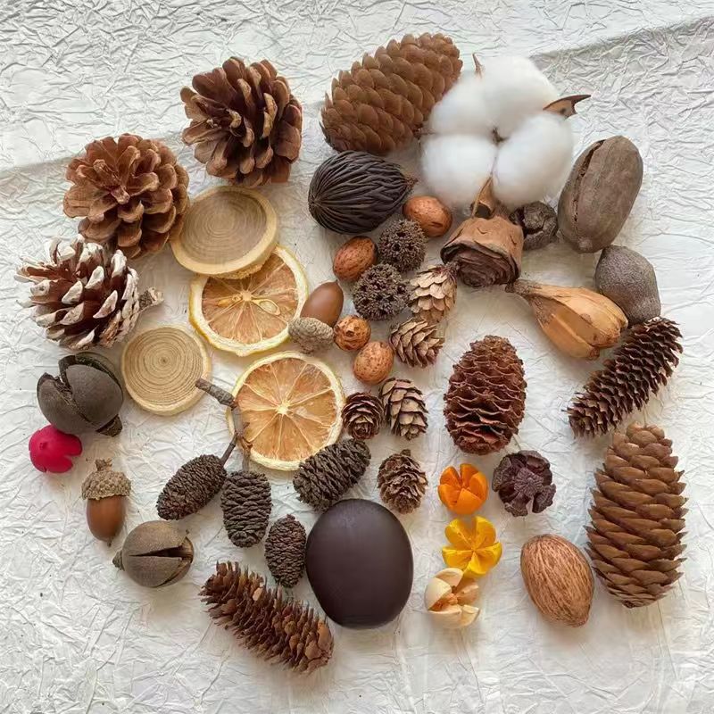 Natural plant dried fruit decorations