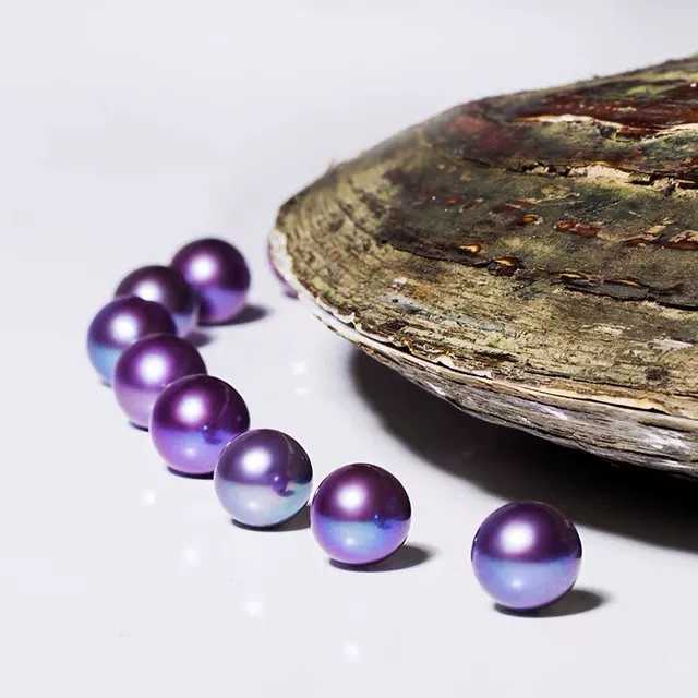 【Purple Lover】Blackberry (One 10-13mm Pearl With A 90% Chance To Get Purple Color)