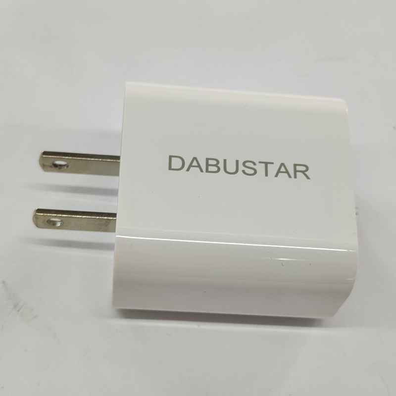 DABUSTAR Battery chargers for mobile phones iPhone Fast Charger 20W PD USB C Wall Charger with 6FT Fast Charging Cable Compatible iPhone 14/13/12/11/Pro/Pro Max/Mini/Xs Max/XR/X, iPad