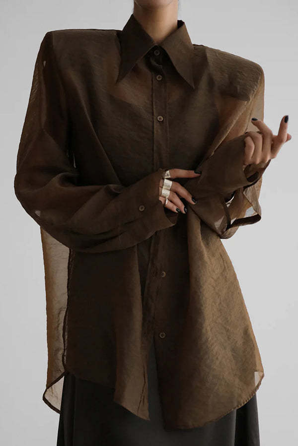 Retro Sheer Loose Long-sleeved Casual Shirt-consonak