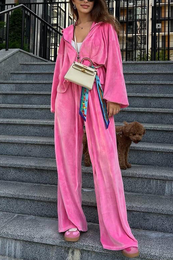 Velvet Casual Zip-up Hooded Top and Elastic Waist Wide Leg Pants Set-consonak