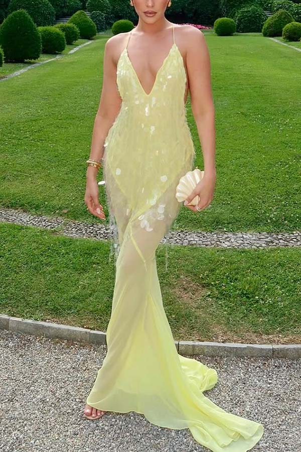 Perfect Night Sequin Embroidery Backless Drape Tulle Hem Slip Maxi Dress | Consonak
