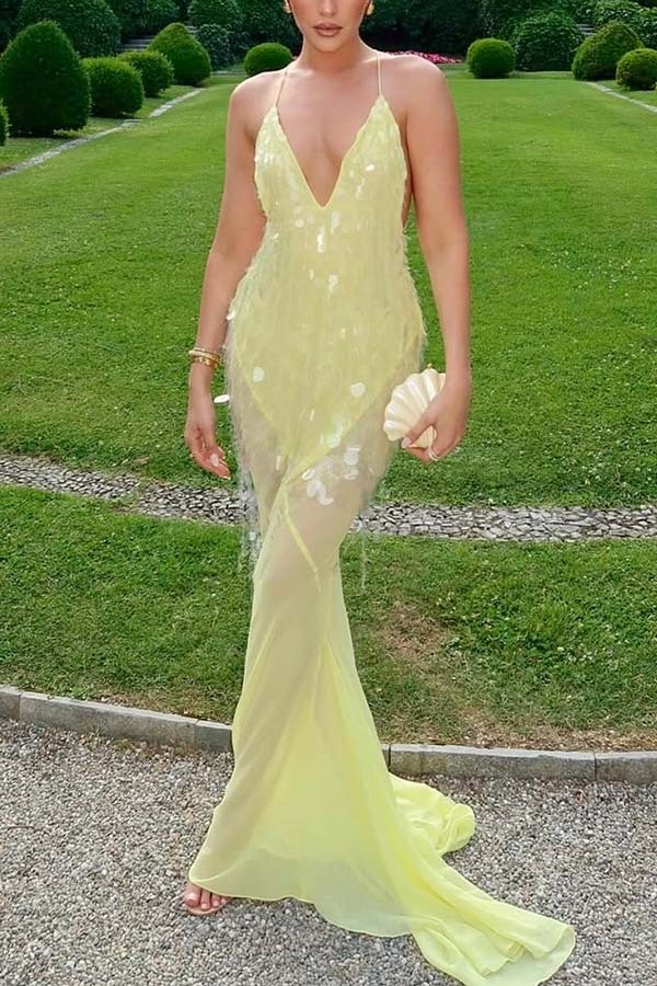 Perfect Night Sequin Embroidery Backless Drape Tulle Hem Slip Maxi Dress-consonak