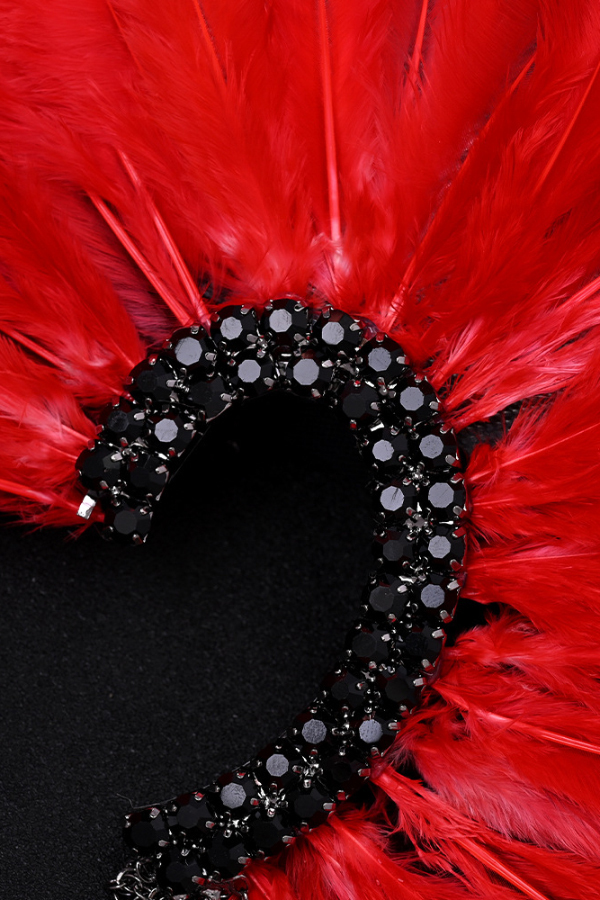 Gorgeous Red Feather Tassel Earrings-consonak