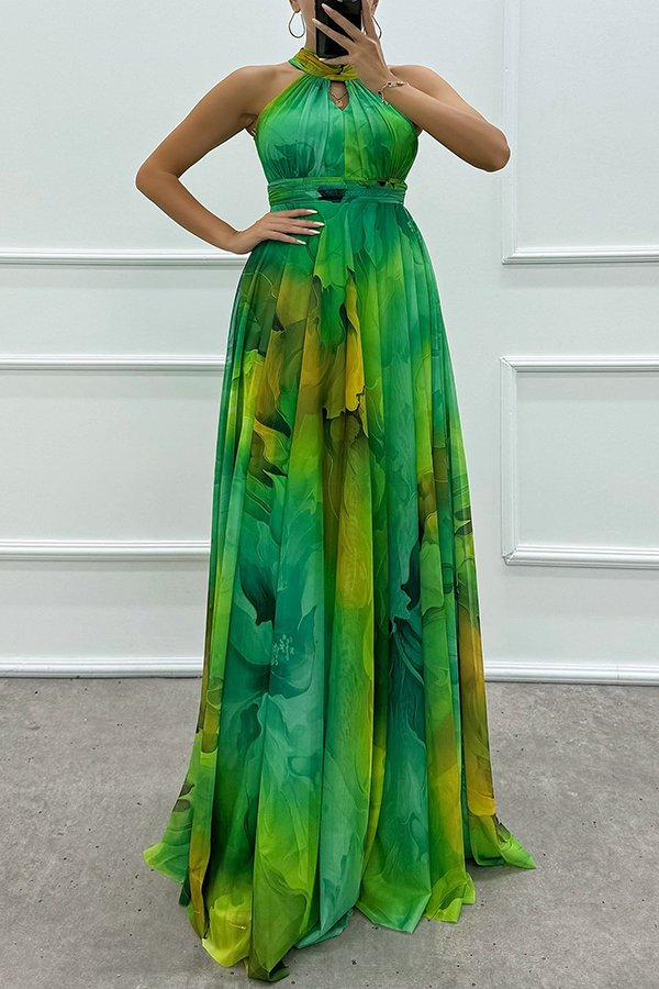 Elaine Tulle Floral Splash Print Cutout Halter Tie-up Neck Gown Maxi Dress-consonak