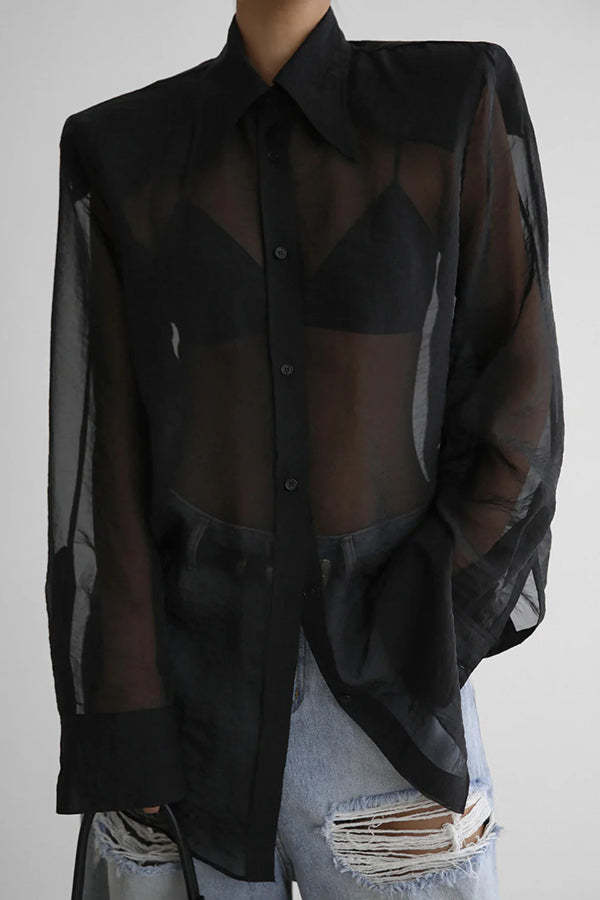 Retro Sheer Loose Long-sleeved Casual Shirt-consonak