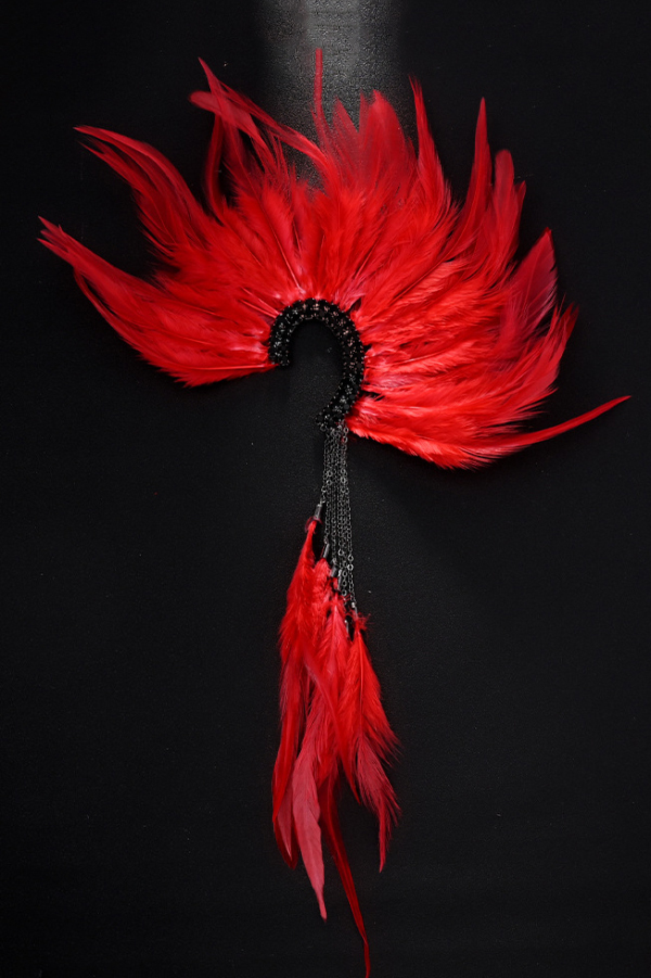 Gorgeous Red Feather Tassel Earrings-consonak