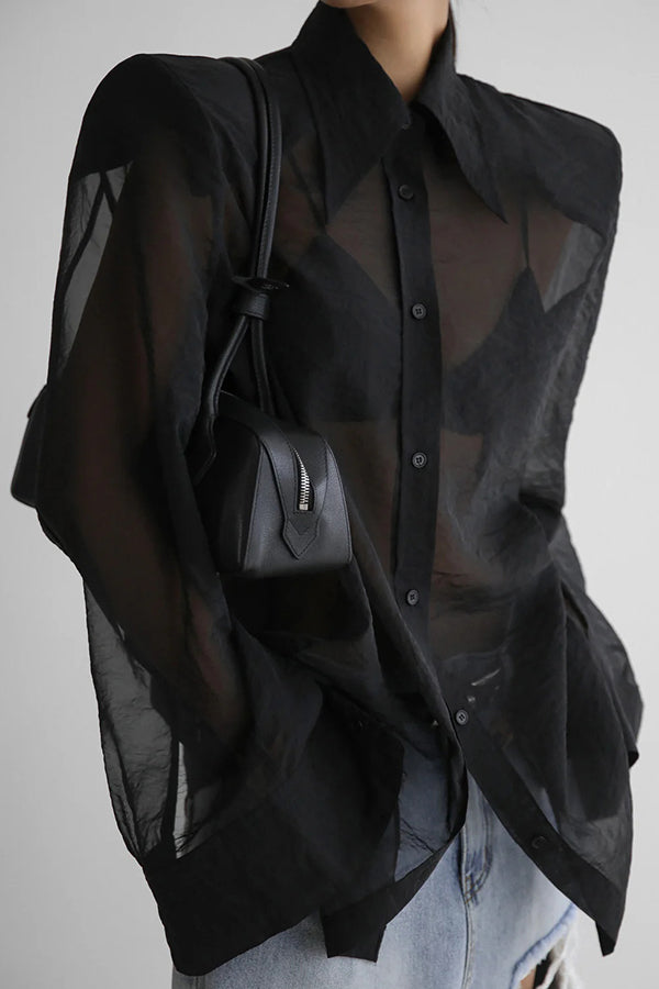 Retro Sheer Loose Long-sleeved Casual Shirt-consonak