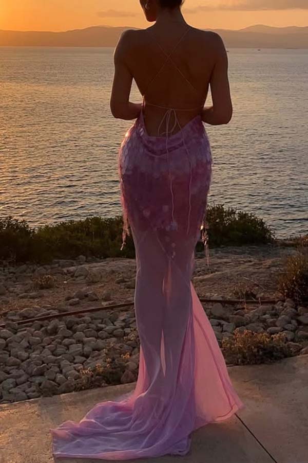 Perfect Night Sequin Embroidery Backless Drape Tulle Hem Slip Maxi Dress | Consonak