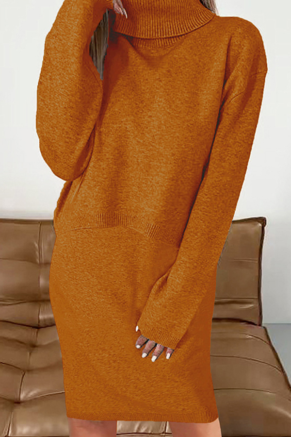 Solid Color Turtleneck Sweater and Knee Length Dress Set-consonak