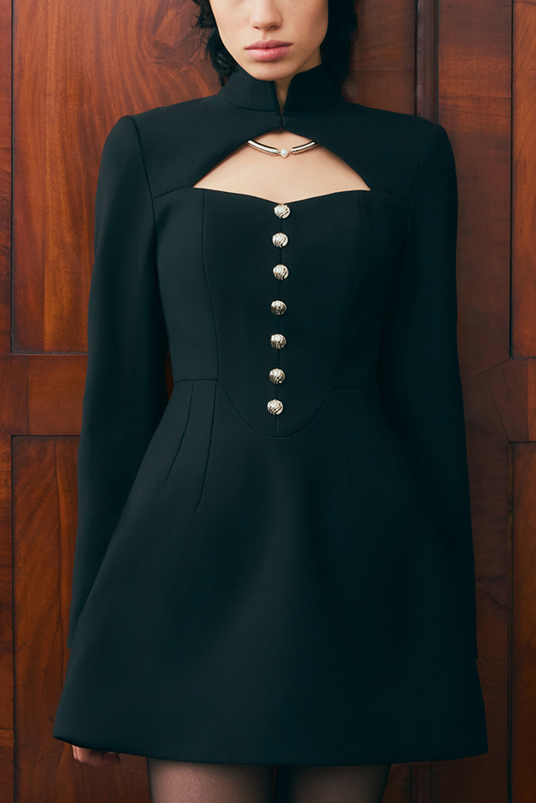 Elegant Long-sleeved Hollowed-out Button-down Slim-fit Mini Dress-consonak