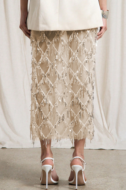 Sexy See-through Sequined Tassel Midi Skirt-consonak