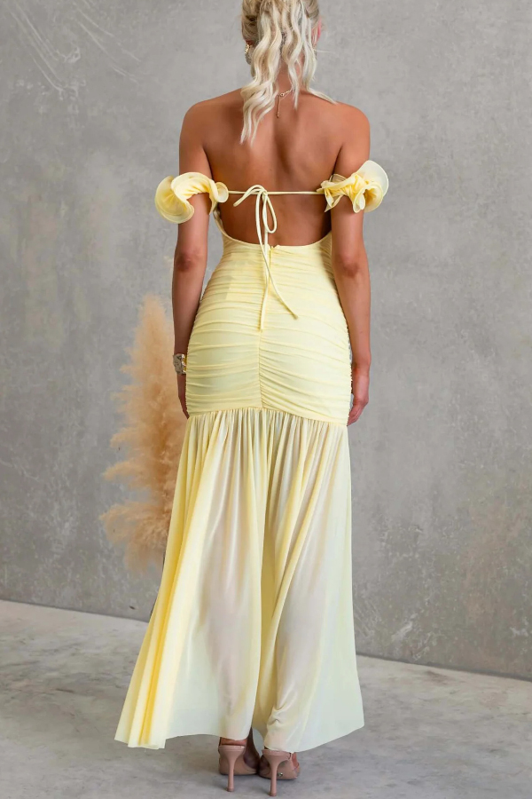 Solid Color Off-shoulder Pleated Backless Slim-fit Elegant Mesh Maxi Dress