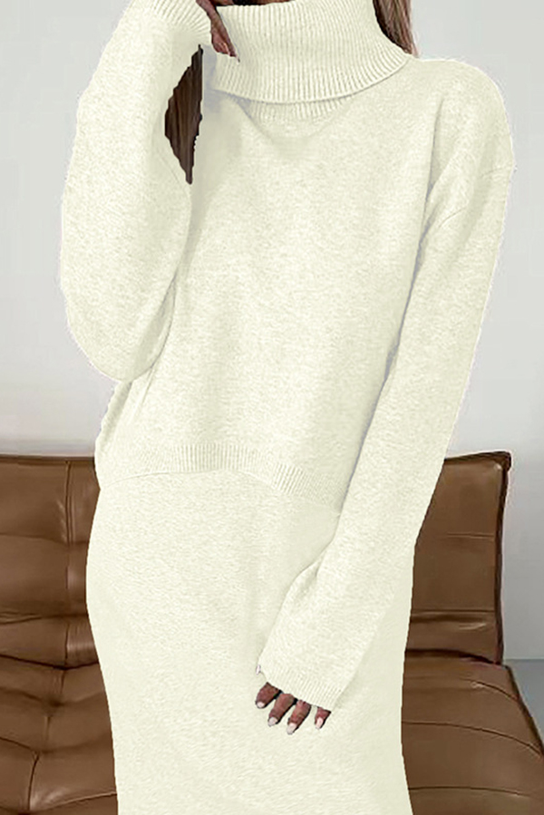 Solid Color Turtleneck Sweater and Knee Length Dress Set-consonak