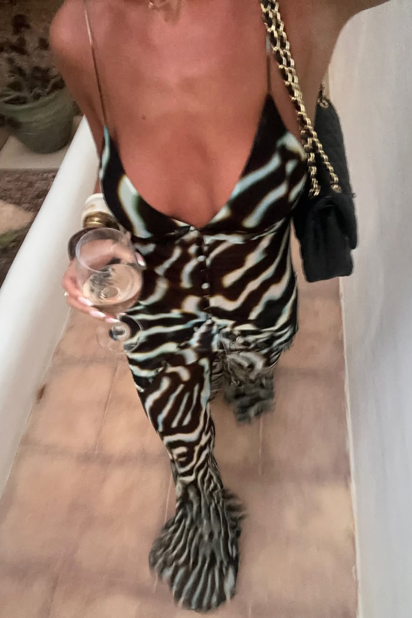 Zebra Print V-neck Camisole Long Mesh Top | Consonak