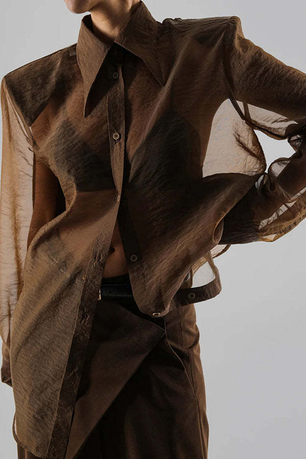 Retro Sheer Loose Long-sleeved Casual Shirt-consonak