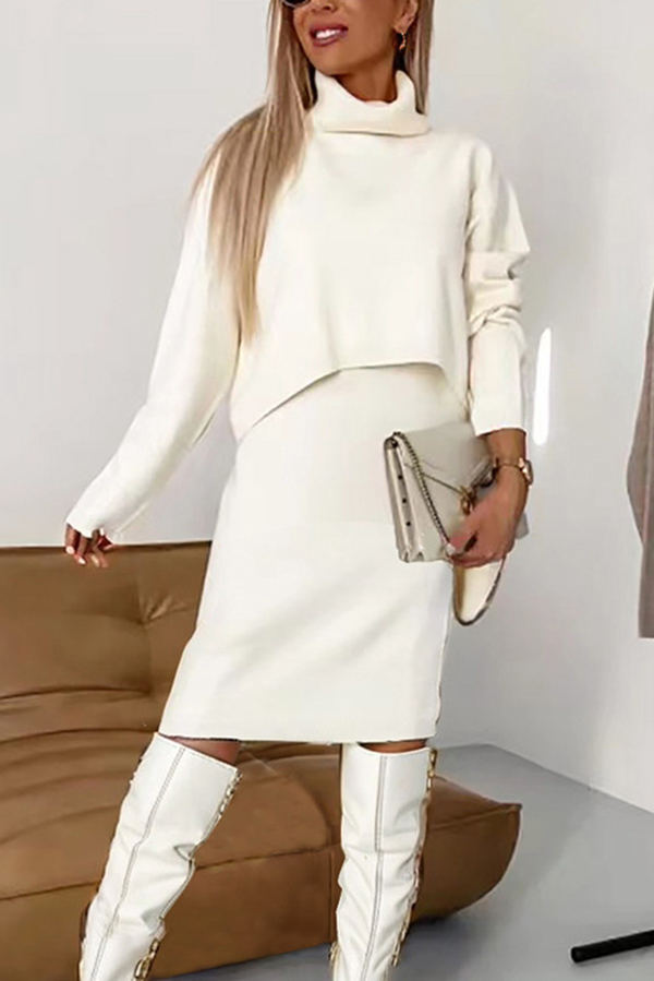 Solid Color Turtleneck Sweater and Knee Length Dress Set-consonak