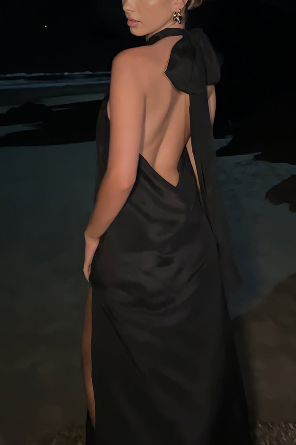 Floral Embellished Satin Halterneck Backless Resort Maxi Dress-consonak