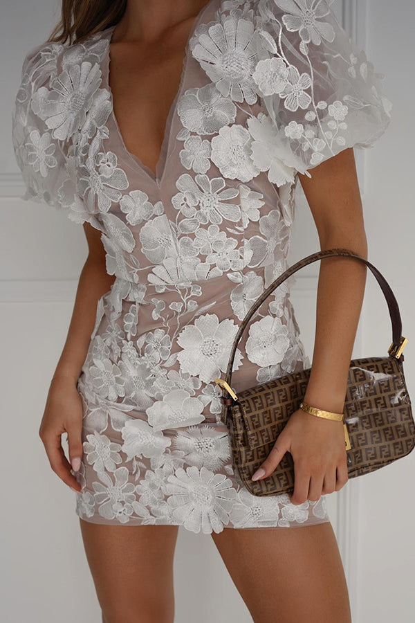 Garden Gala Embroidered Floral Applique Puff Sleeve Mini Dress-consonak