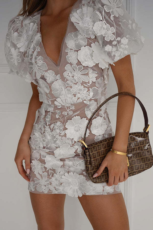 Garden Gala Embroidered Floral Applique Puff Sleeve Mini Dress-consonak