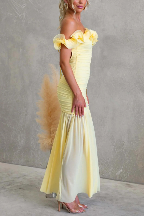 Solid Color Off-shoulder Pleated Backless Slim-fit Elegant Mesh Maxi Dress