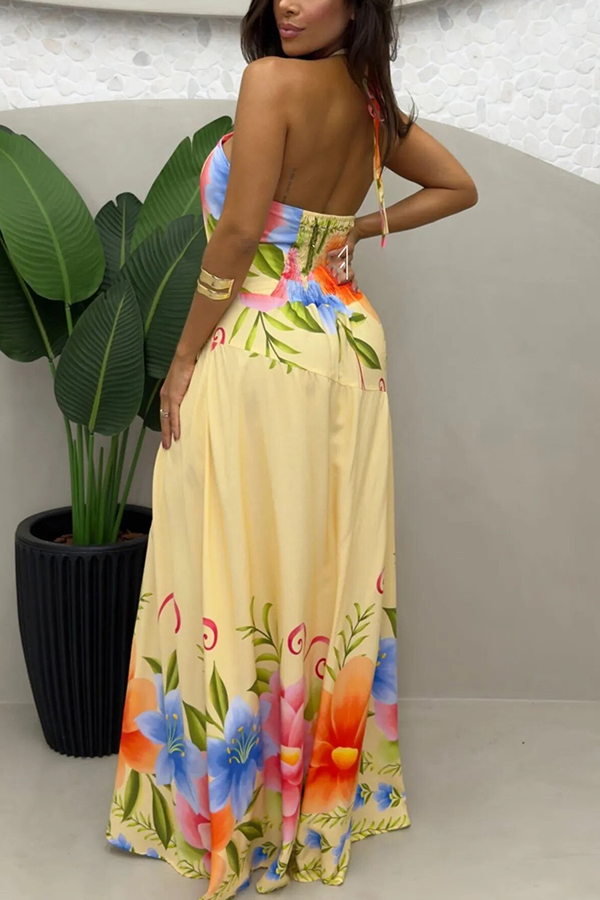 Lennora Floral Print Back Smocked Halter Tie-up Maxi Dress
