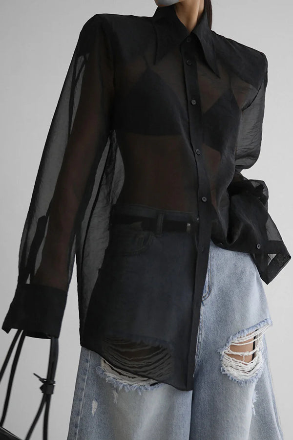 Retro Sheer Loose Long-sleeved Casual Shirt-consonak