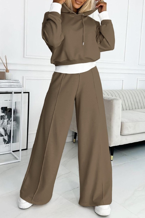 Stylish Patchwork Hooded Sweatshirt and Elastic Waist Tie Pocket Wide Leg Pants Set-consonak