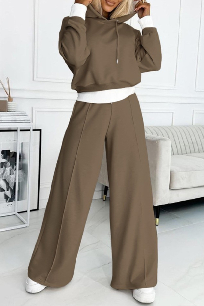 Stylish Patchwork Hooded Sweatshirt and Elastic Waist Tie Pocket Wide Leg Pants Set-consonak