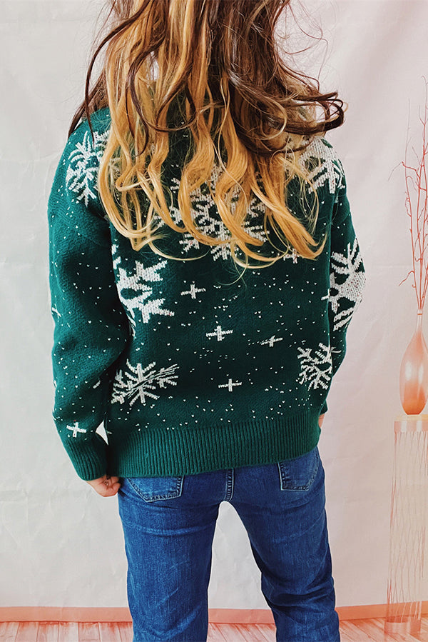 Christmas Pattern Knitted Crew Neck Long Sleeved Sweater-consonak