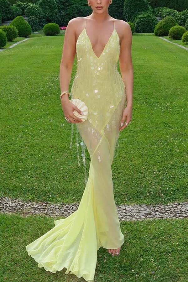 Perfect Night Sequin Embroidery Backless Drape Tulle Hem Slip Maxi Dress | Consonak