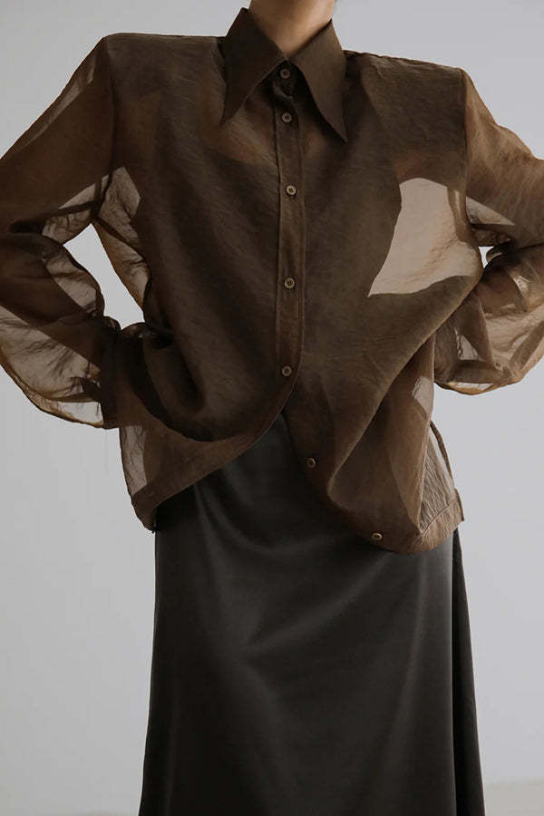 Retro Sheer Loose Long-sleeved Casual Shirt-consonak
