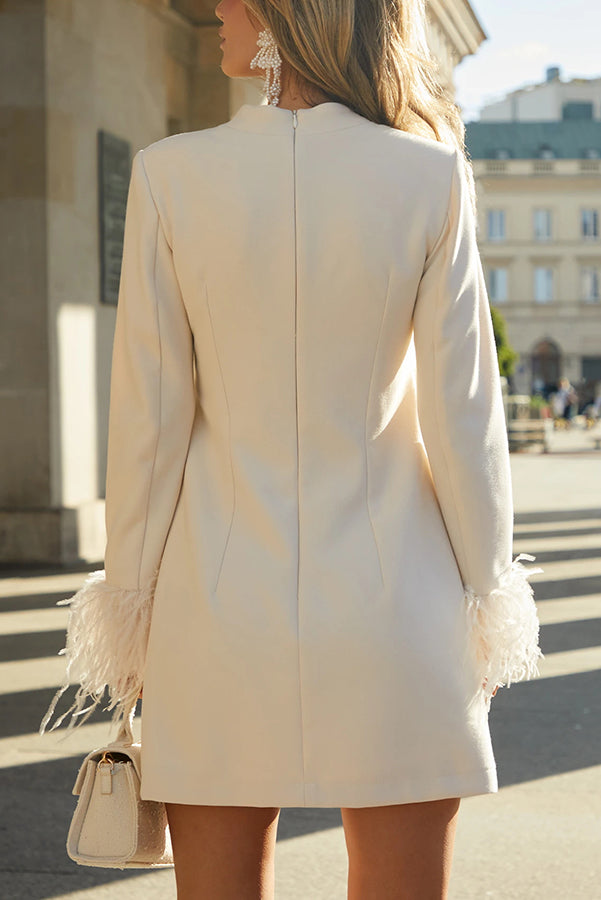 Unforgettable Date Feather Trim Long Sleeve H-line Mini Dress-consonak