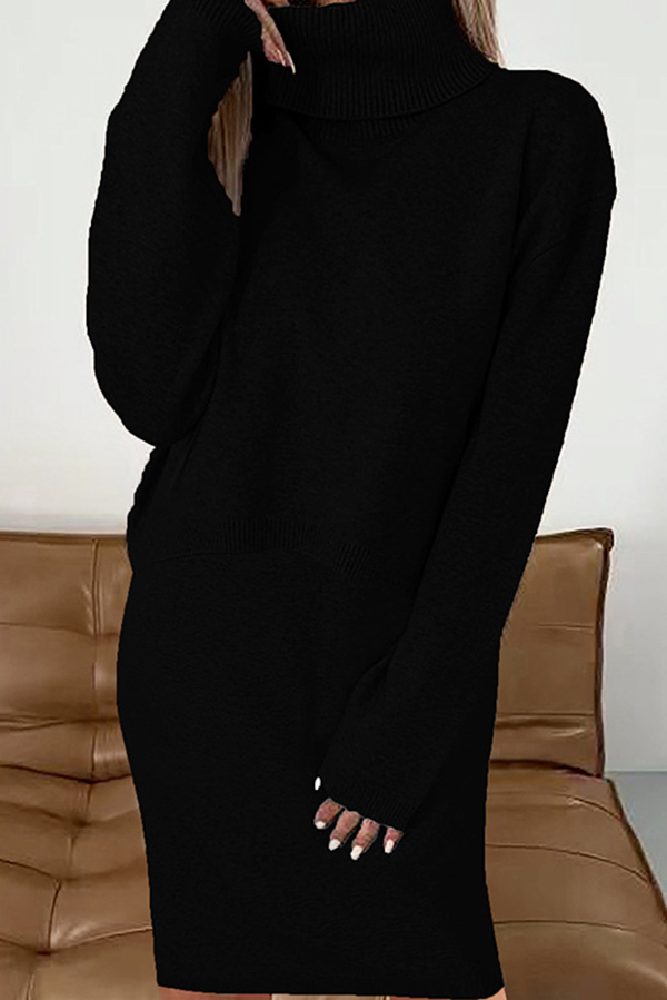 Solid Color Turtleneck Sweater and Knee Length Dress Set-consonak