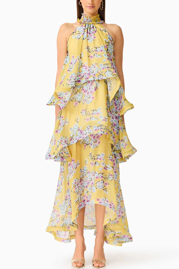 Briony Georgette Fabric Floral Print Pleated High Neck Tiered A-line Maxi Dress