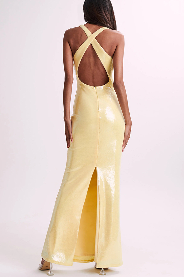 Sicilian Rose Sequin Three-dimensional Floral Sexy Backless Maxi Dress-consonak